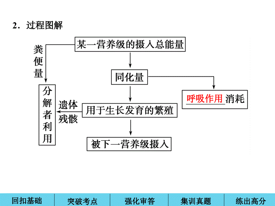 一轮复习之生态系统的能量流动+物质循环讲解_第4页