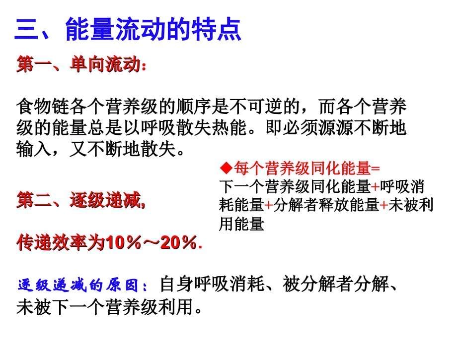 一轮复习之生态系统的能量流动+物质循环讲解_第5页