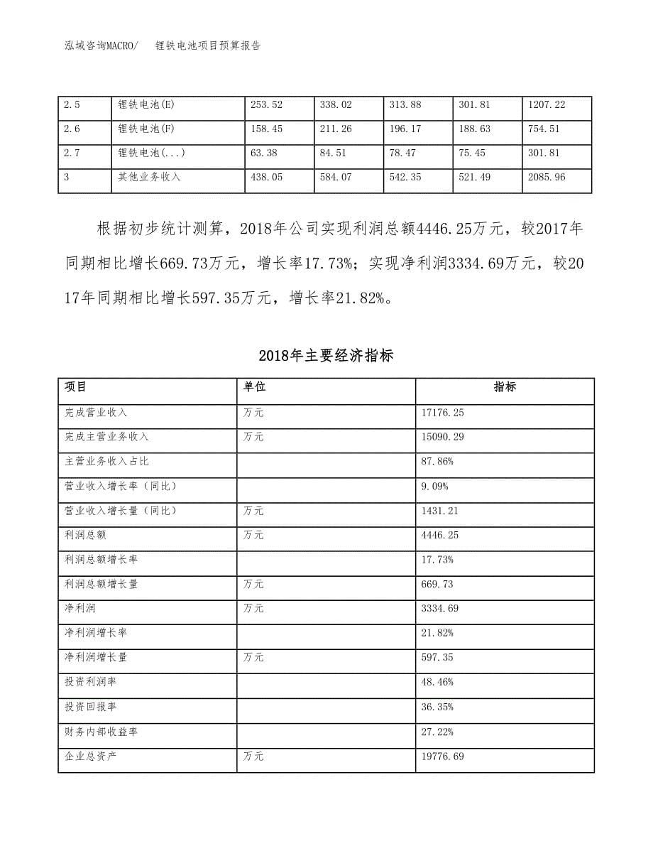 锂铁电池项目预算报告年度.docx_第5页