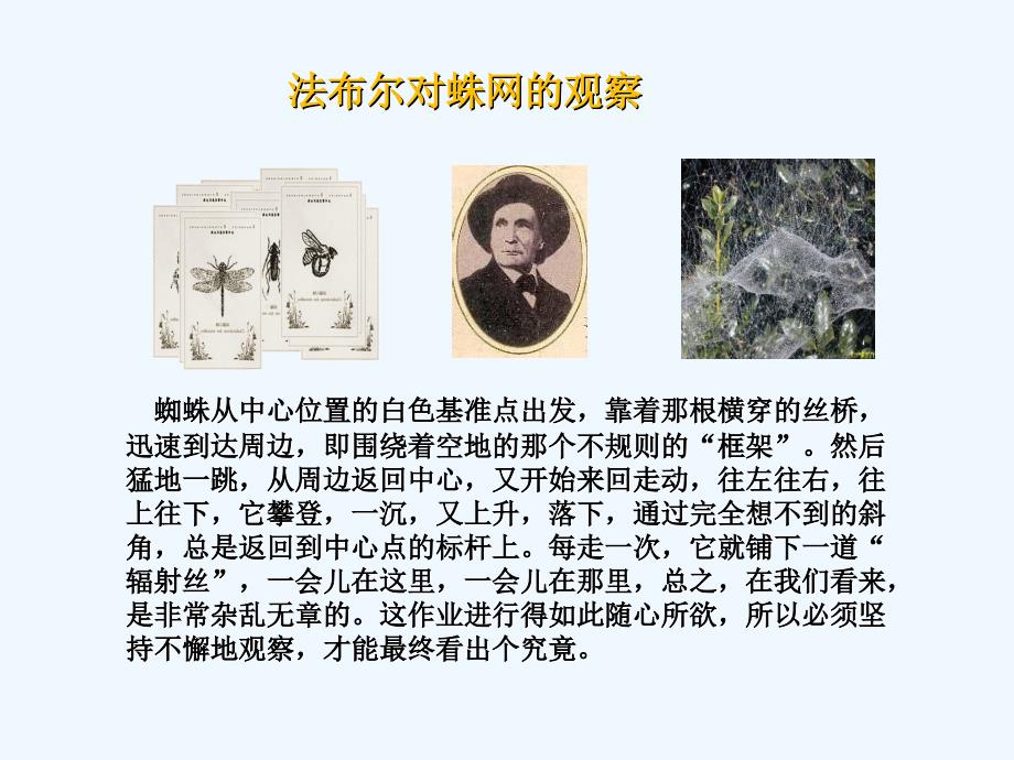 浙江杭州西湖区双浦镇七年级科学上册1.3科学观察（新）浙教_第3页