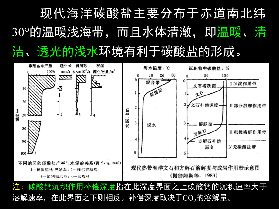 沉积学与层序地层学7章(碳酸盐岩沉积相)剖析_第2页