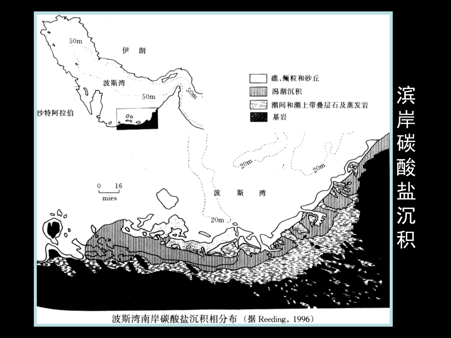 沉积学与层序地层学7章(碳酸盐岩沉积相)剖析_第4页