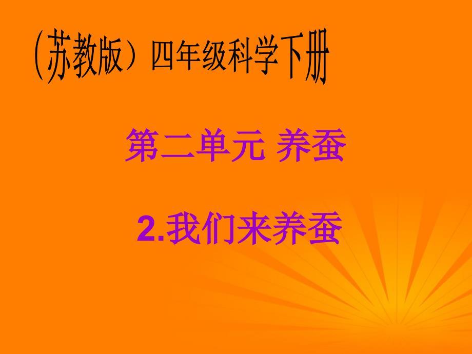 四年级科学下册我们来养蚕2课件苏教版