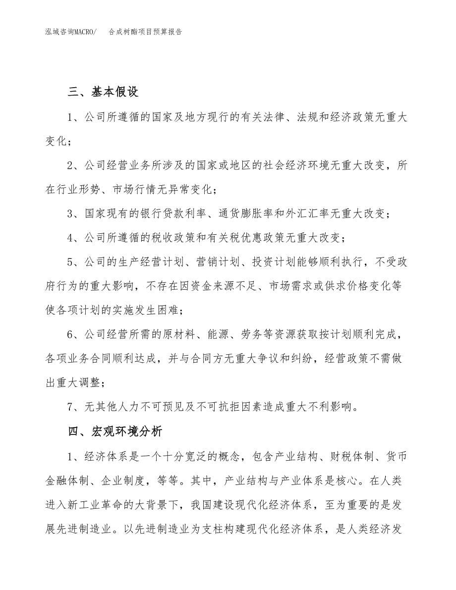 合成树酯项目预算报告年度.docx_第5页