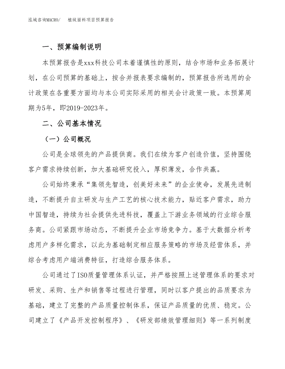 植绒面料项目预算报告年度.docx_第2页