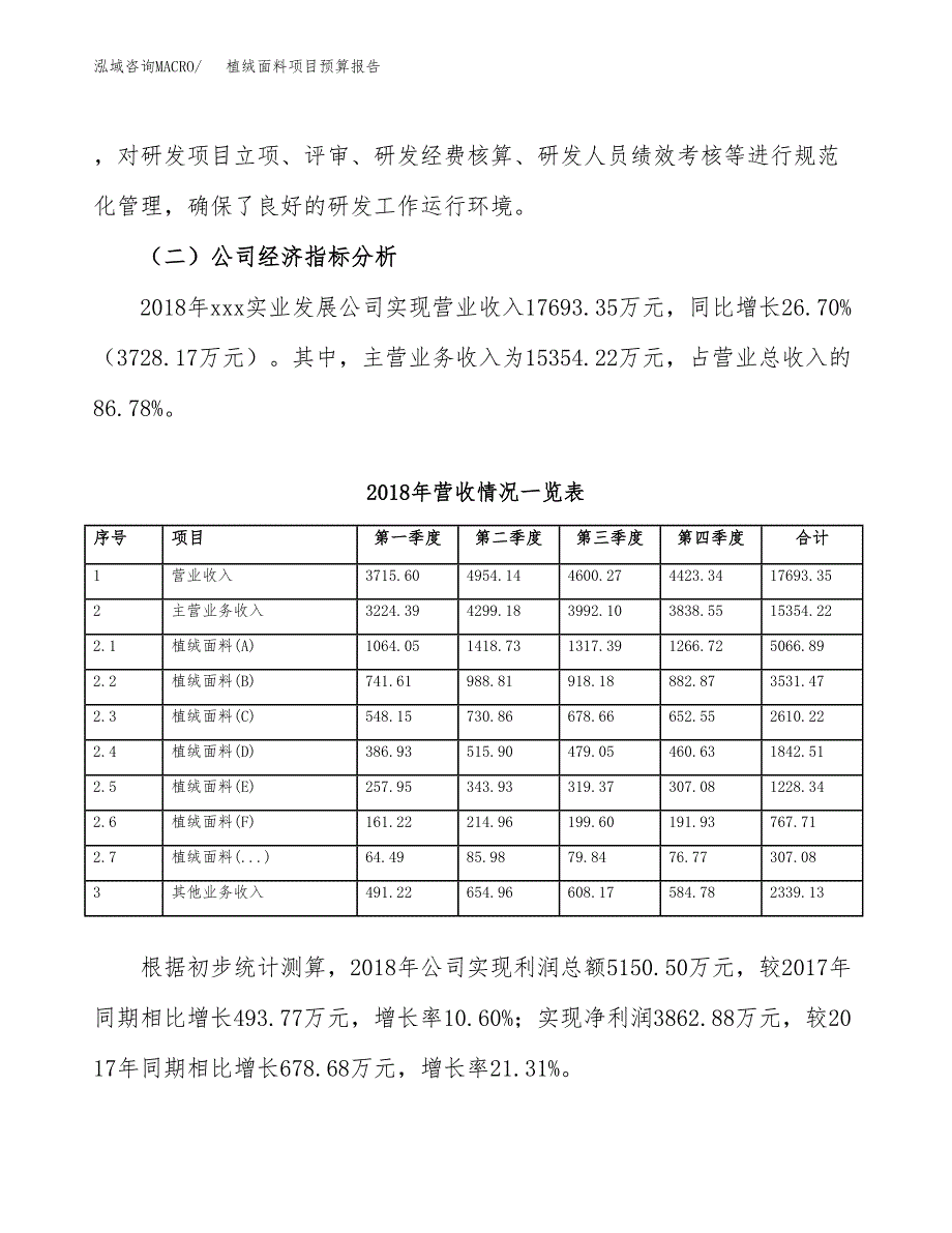 植绒面料项目预算报告年度.docx_第3页