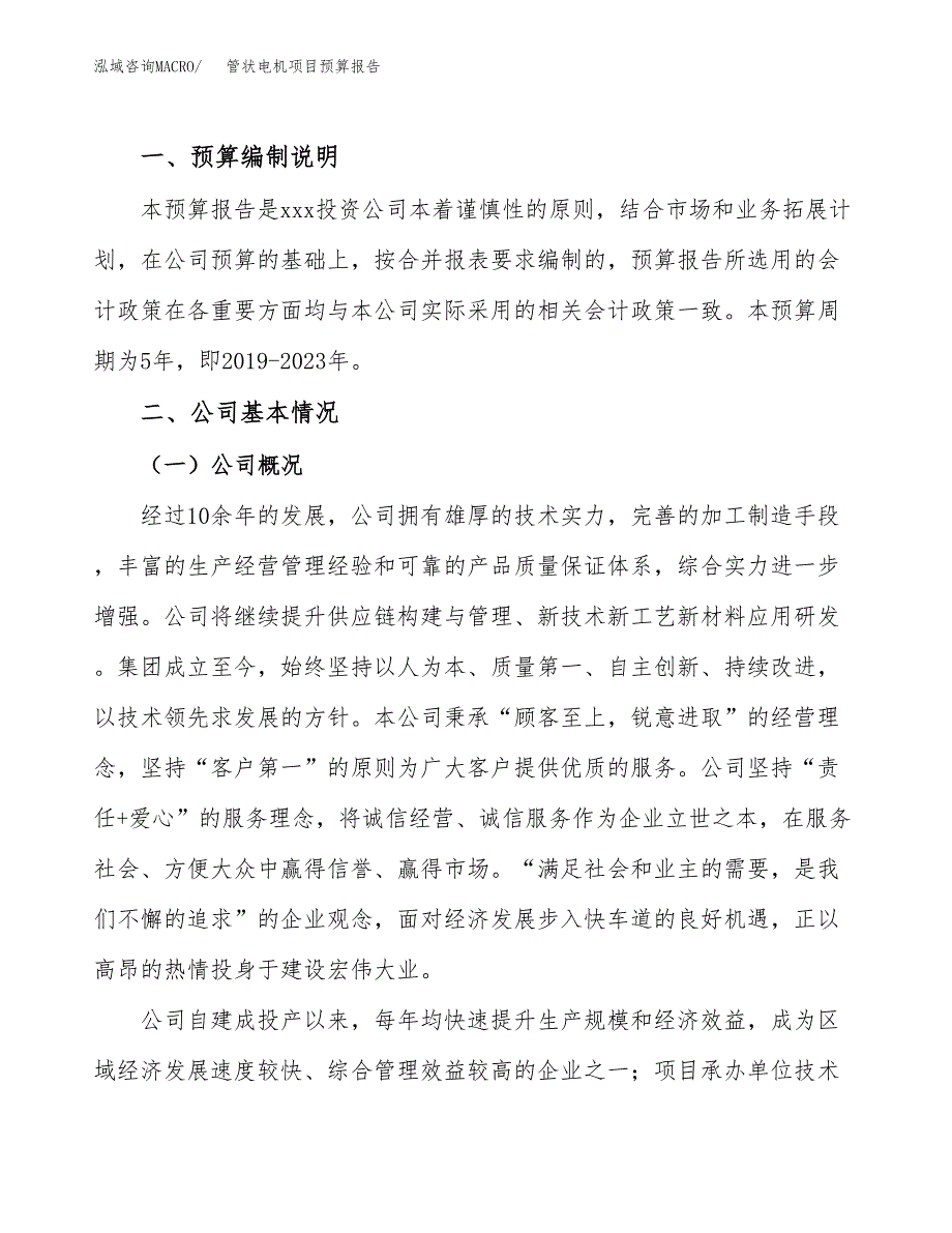 管状电机项目预算报告年度.docx_第2页