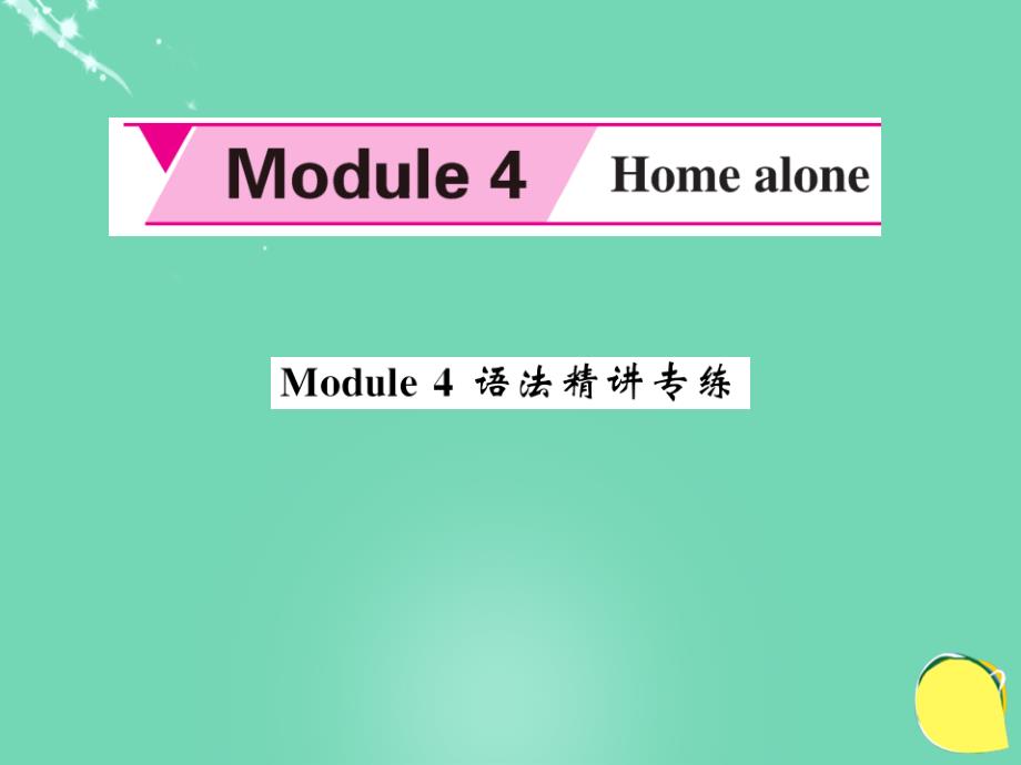 2016年秋九年级英语上册 module 4 home alone语法精讲专练外研版_第1页