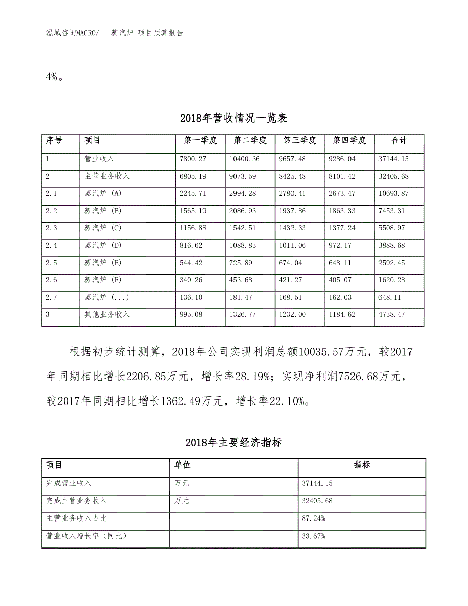 蒸汽炉 项目预算报告年度.docx_第4页