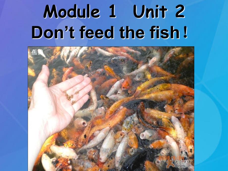 2016春四年级英语下册 module 1 unit 2《don’t feed the fish》课件5 外研版（一起）_第1页