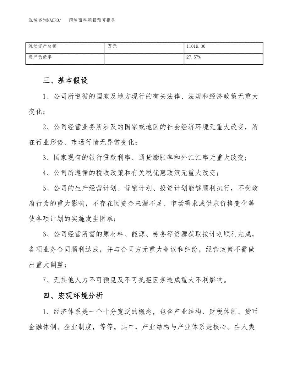 褶皱面料项目预算报告年度.docx_第5页