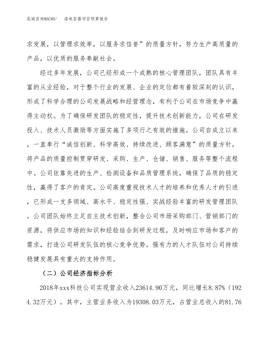 漆电容器项目预算报告年度.docx_第3页