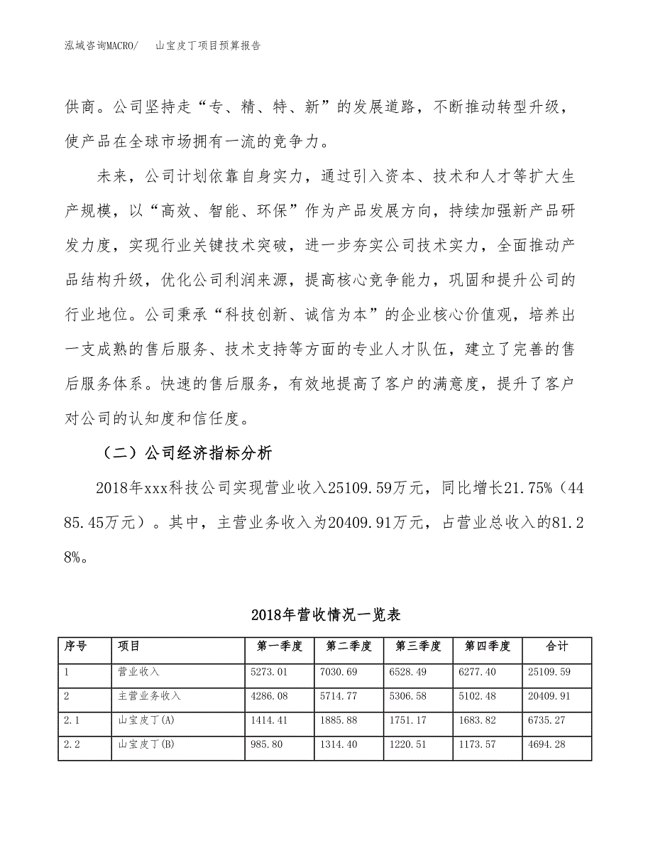 山宝皮丁项目预算报告年度.docx_第3页