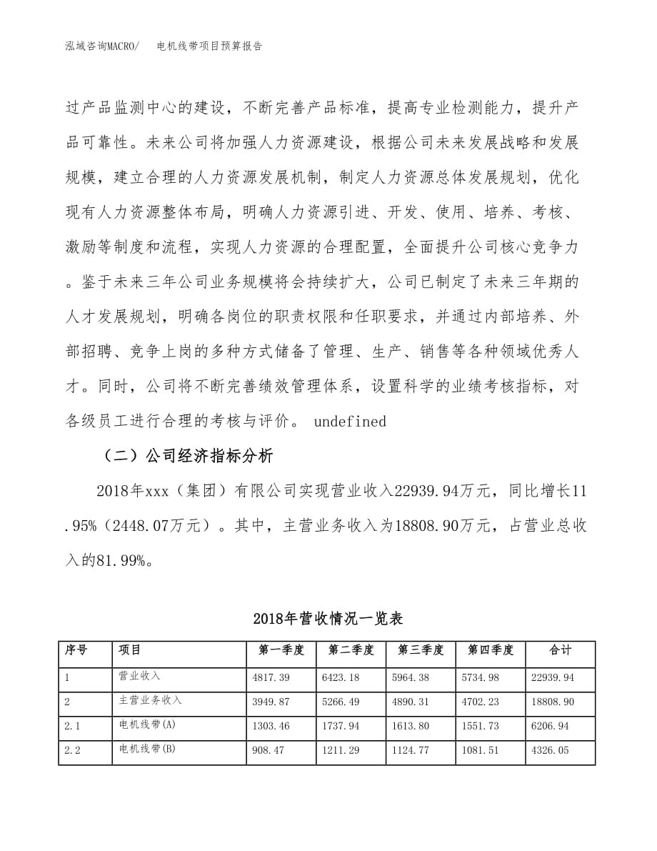 电机线带项目预算报告年度.docx_第3页