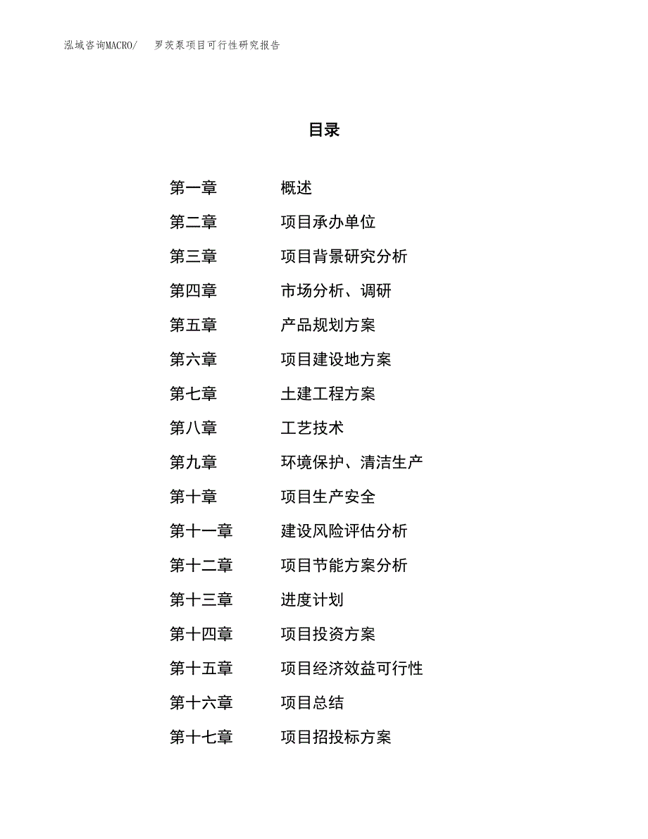 罗茨泵项目可行性研究报告（总投资17000万元）（60亩）_第1页