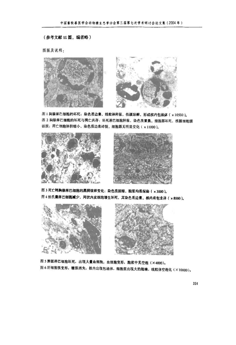 人工感染鸭病毒性肠炎急性病例超微结构变化的研究_第5页