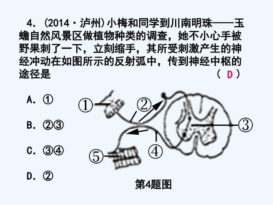 浙江省2016年中考科学第一轮专题练习《生命活动的调节（一）》_第5页