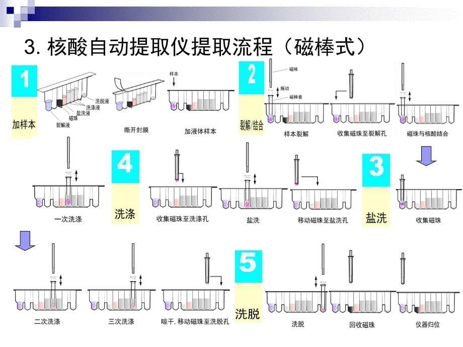 国内外核酸提取仪介绍-CC._第5页