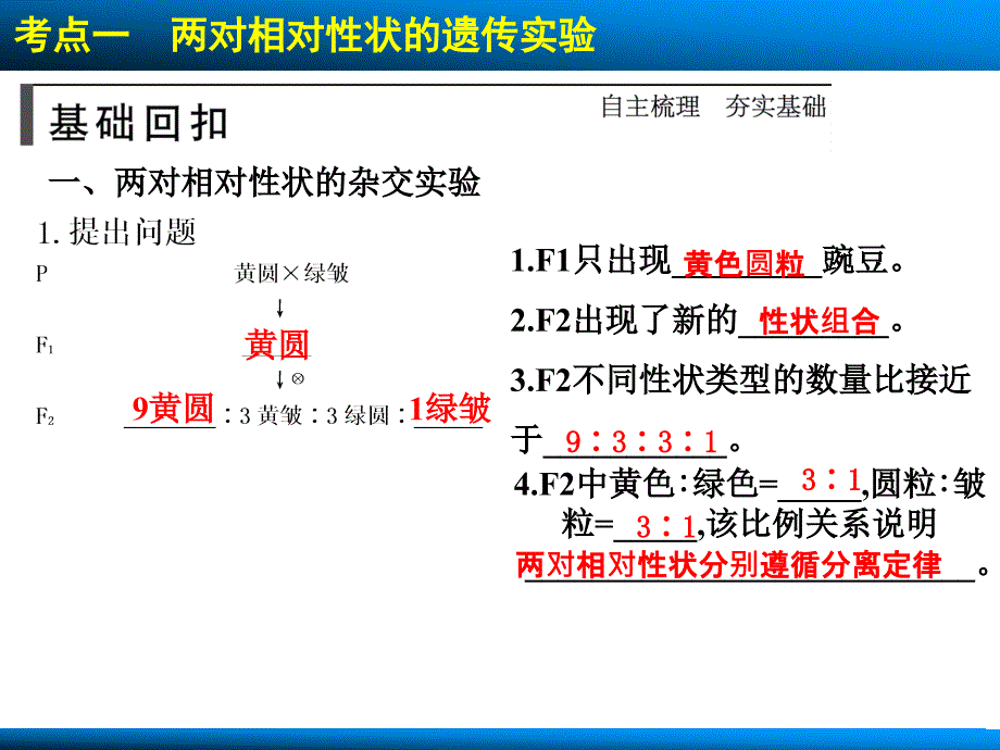 一轮课件：第15讲基因的自由组合定律._第2页