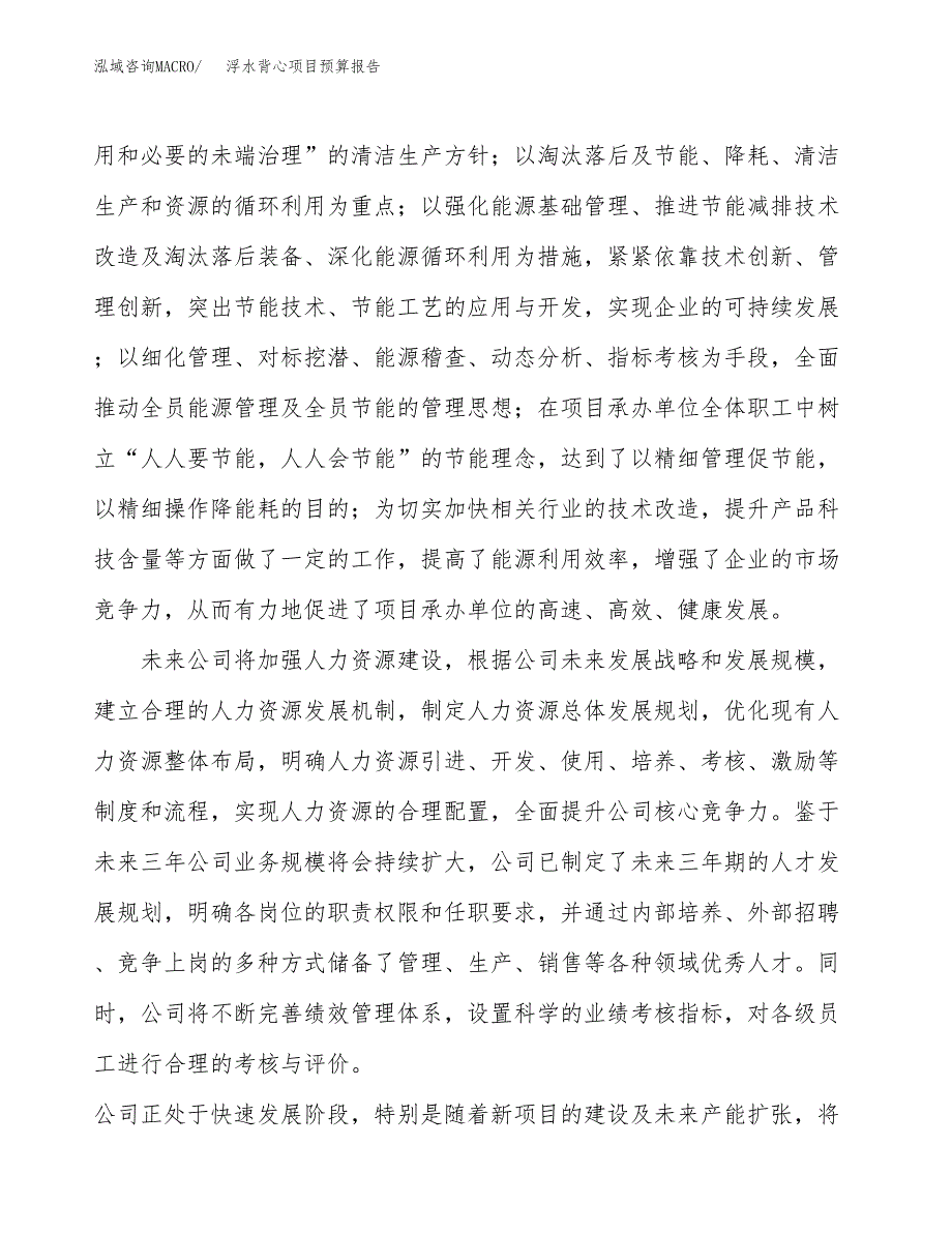 浮水背心项目预算报告年度.docx_第3页