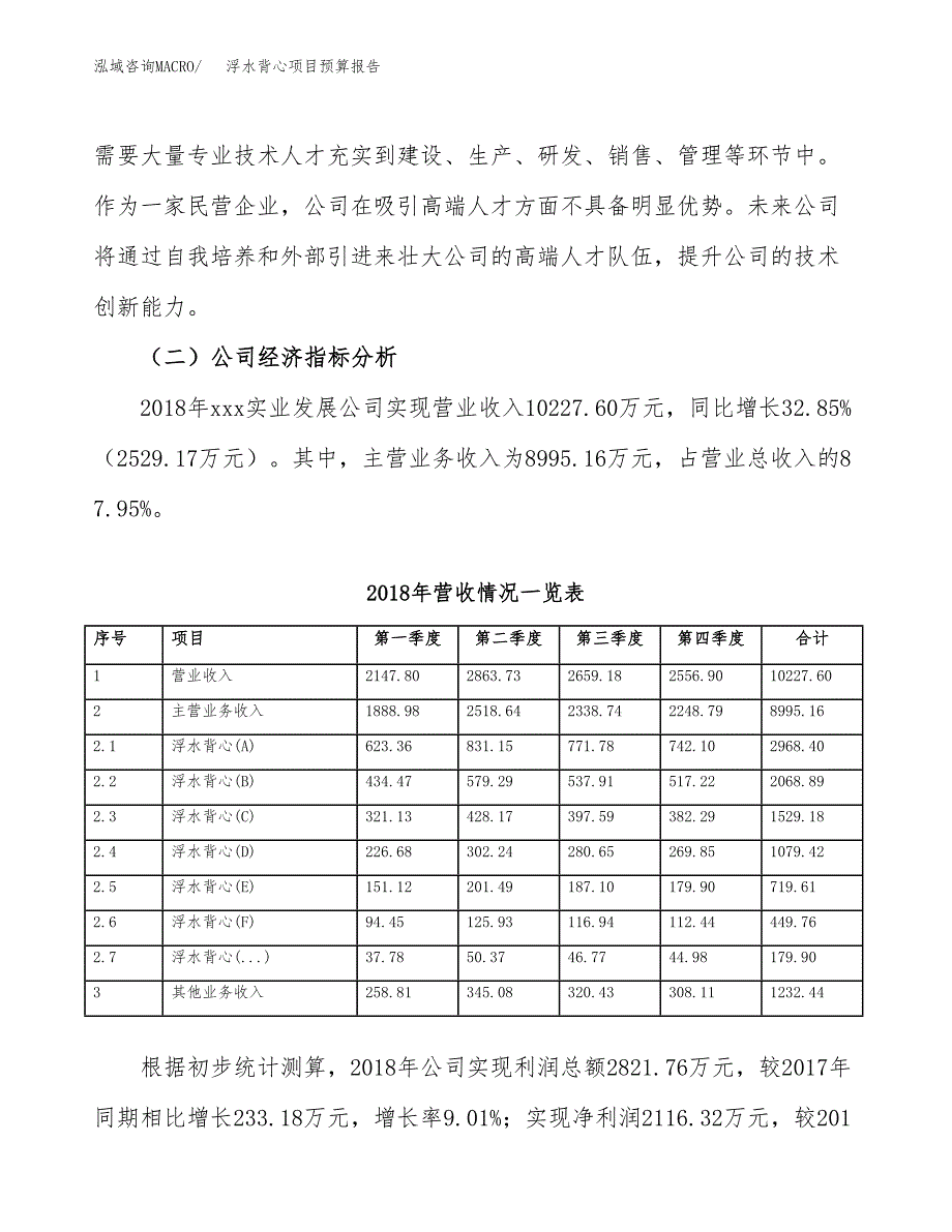 浮水背心项目预算报告年度.docx_第4页