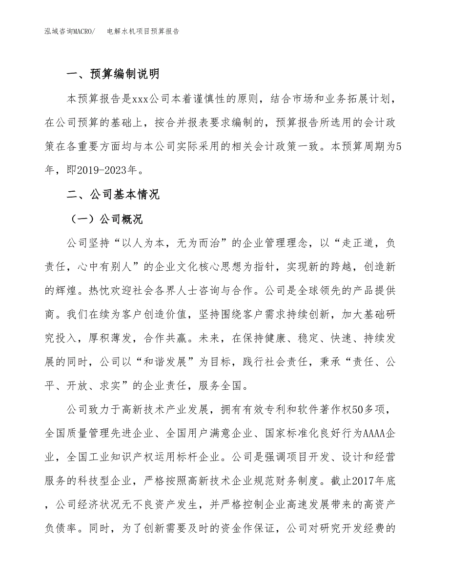 电解水机项目预算报告年度.docx_第2页