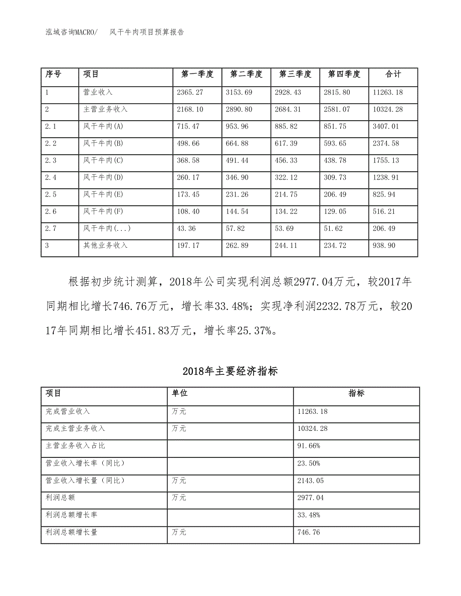 风干牛肉项目预算报告年度.docx_第4页