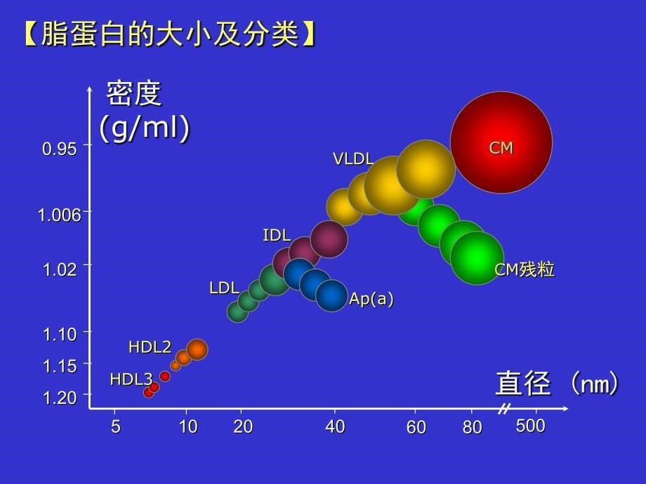 抗动脉粥样硬化药物分类及研究进展讲解_第5页