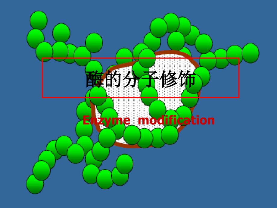 酶分子修饰background_第1页