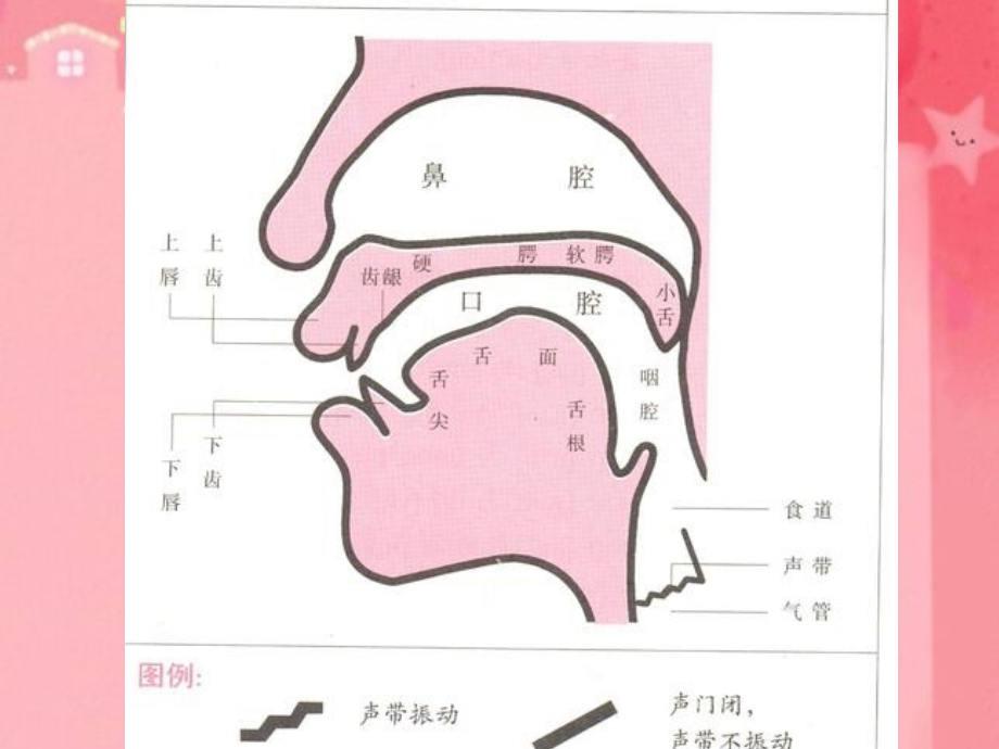 快乐学音标1剖析_第4页