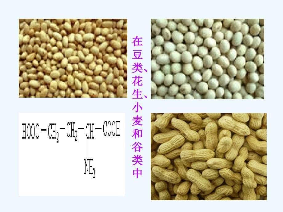 高中化学饮食中的有机化合物（第5课时）3鲁科_第5页