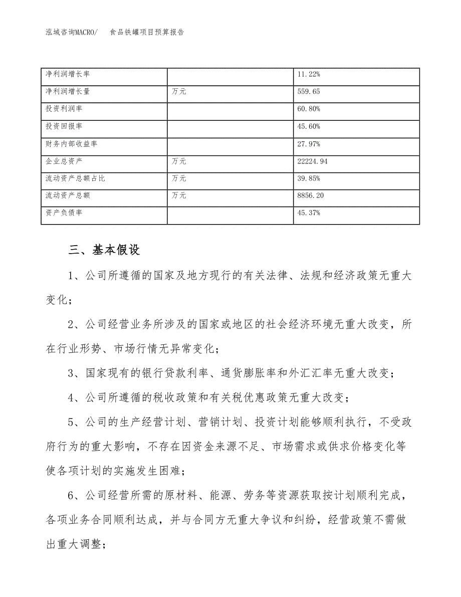 食品铁罐项目预算报告年度.docx_第5页