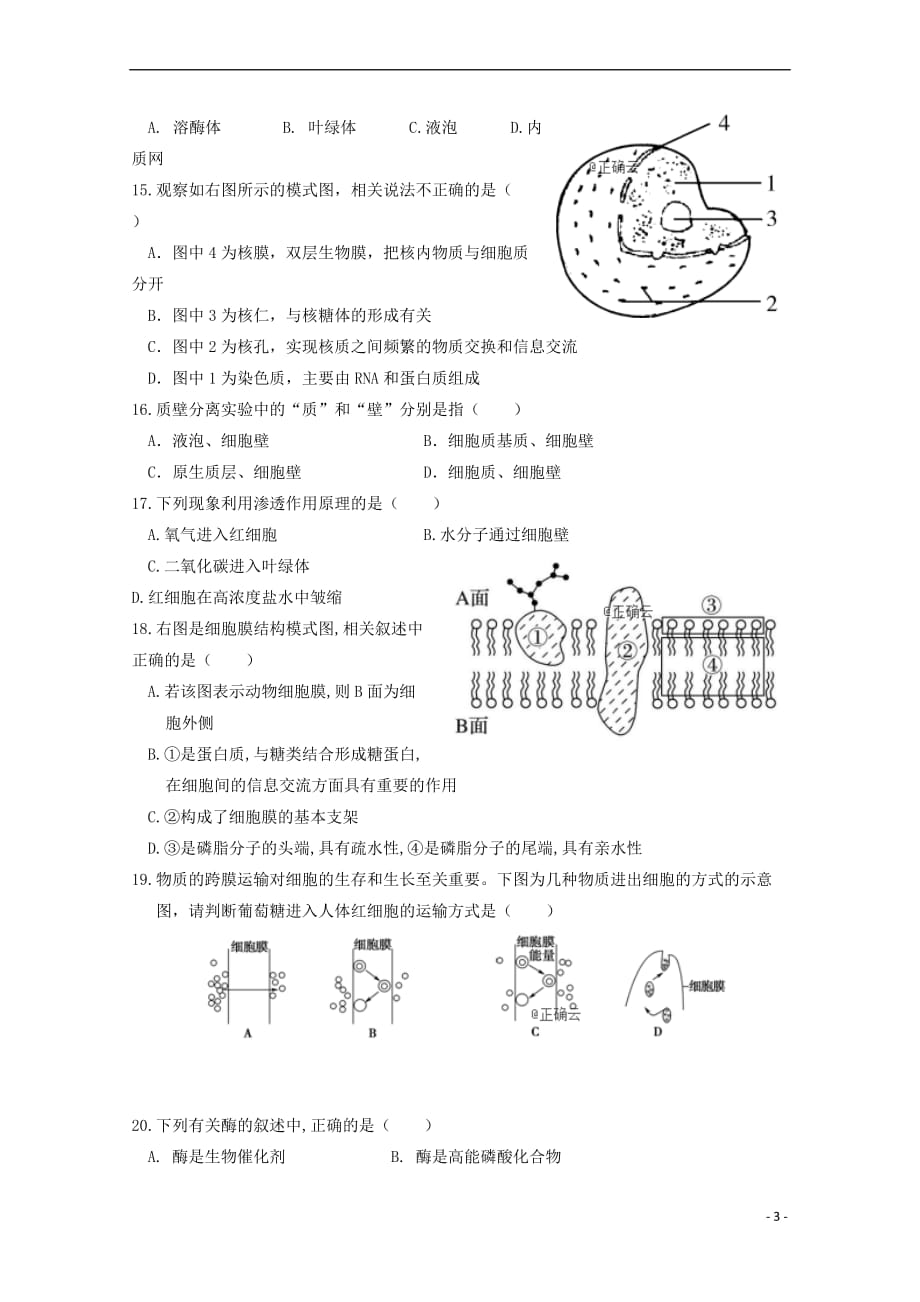 湖南省张家界市2018-2019学年高一生物上学期期末考试试题(无答案)_第3页