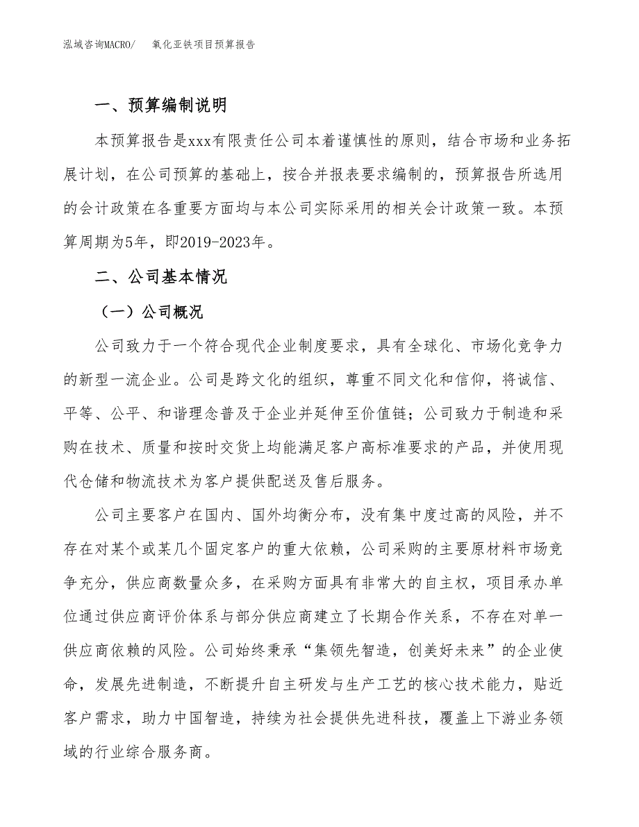 氧化亚铁项目预算报告年度.docx_第2页