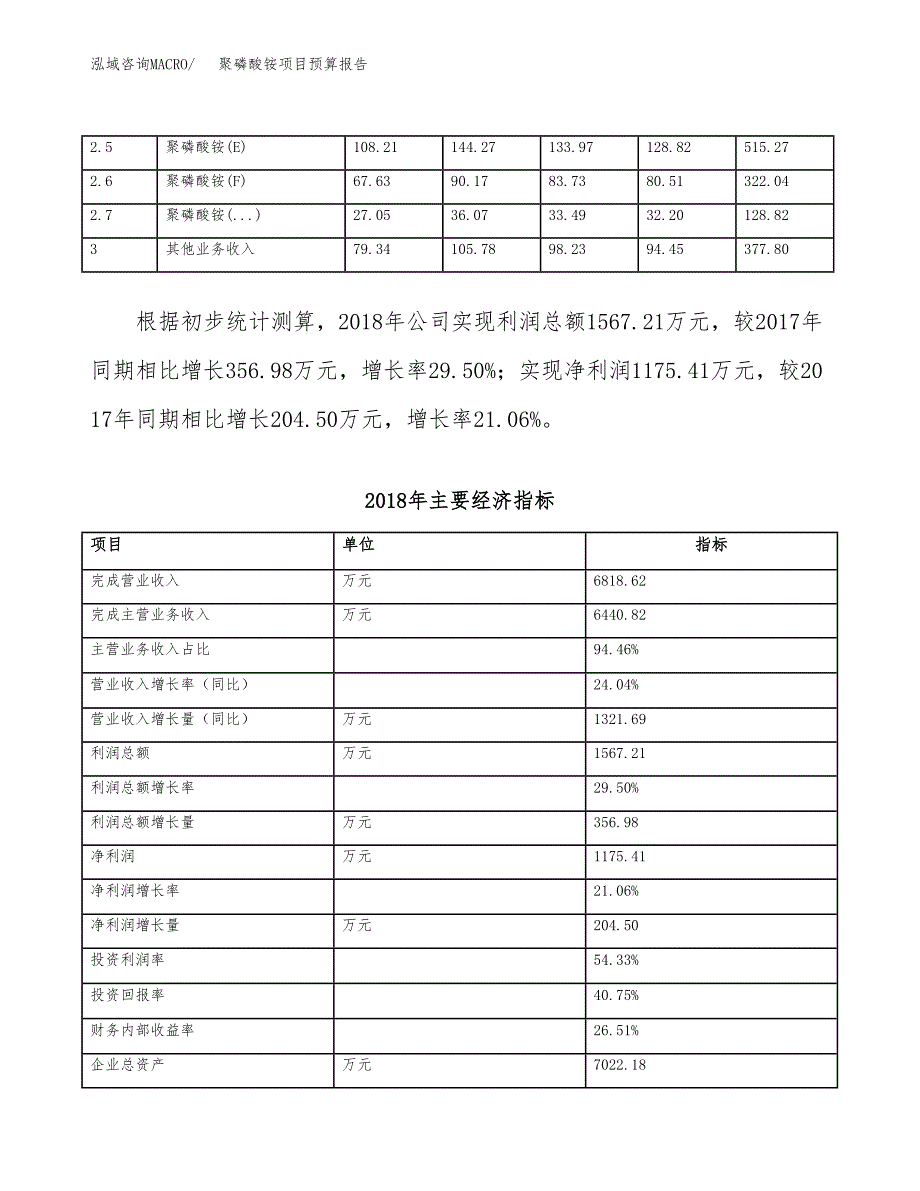 聚磷酸铵项目预算报告年度.docx_第4页