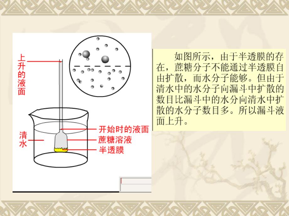 物质运输功能讲解_第3页