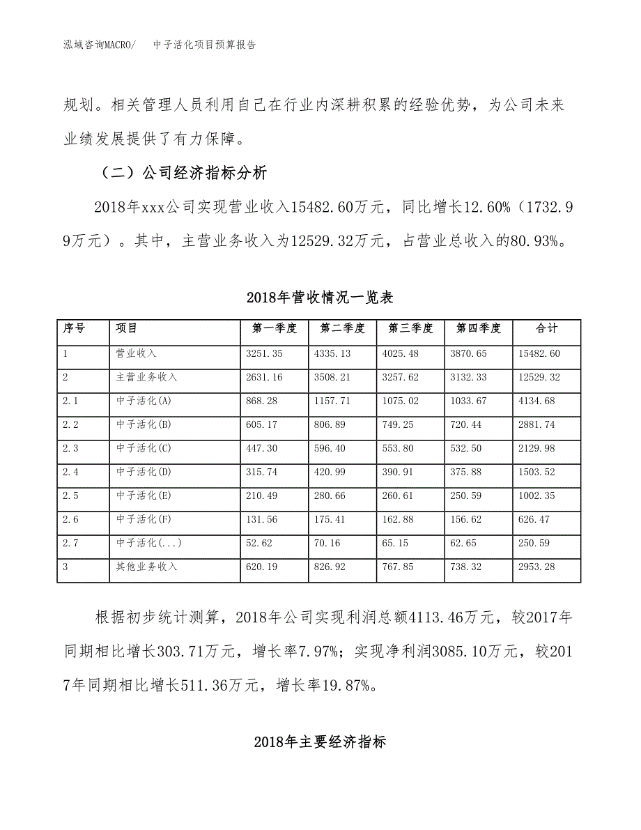 中子活化项目预算报告年度.docx_第4页