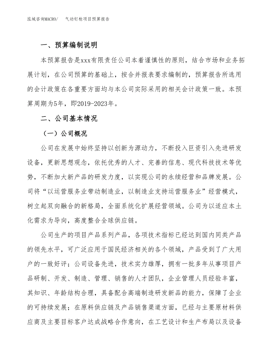 气动钉枪项目预算报告年度.docx_第2页