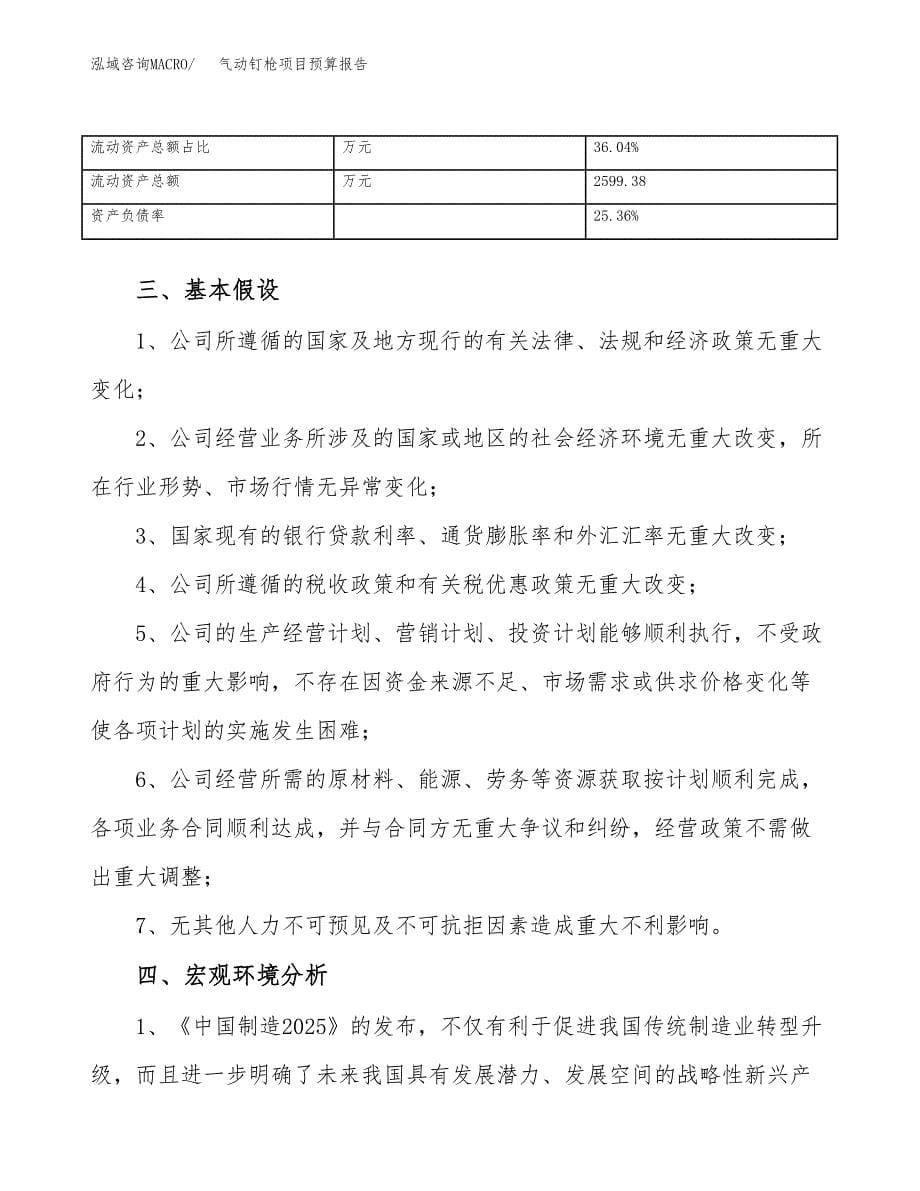 气动钉枪项目预算报告年度.docx_第5页