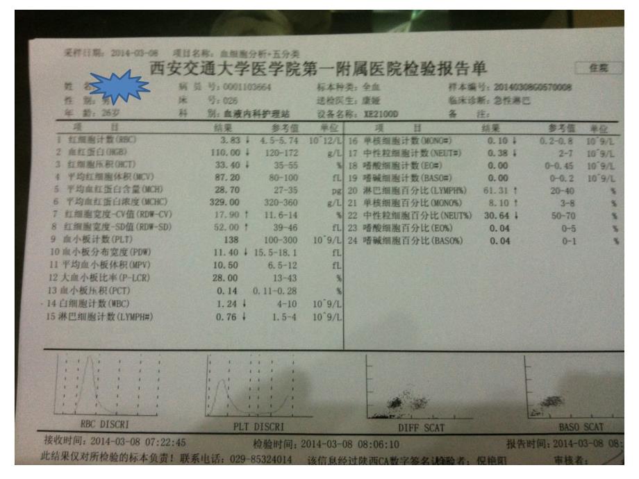 检验项目的结果与评价讲解_第4页