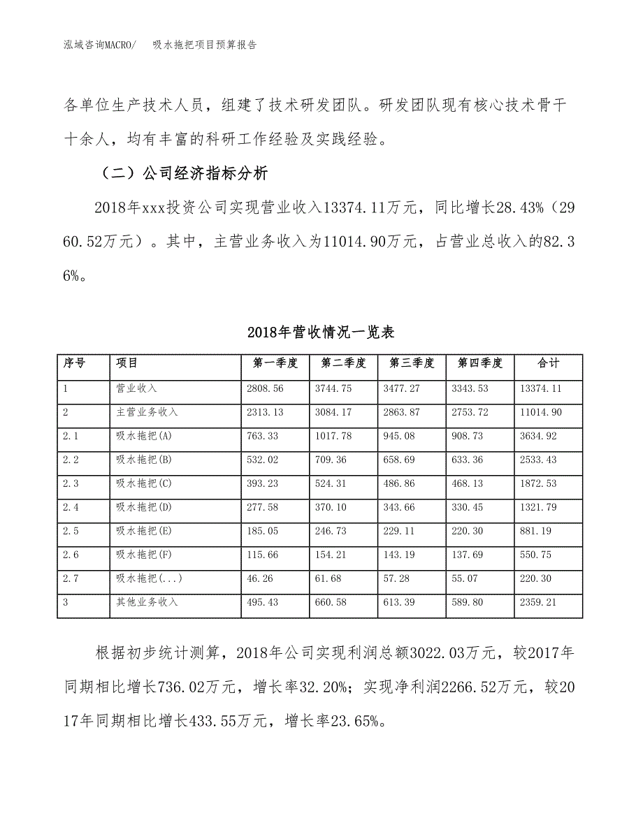 吸水拖把项目预算报告年度.docx_第3页