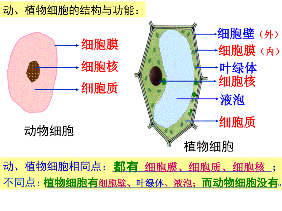 生物中考(基础)._第3页