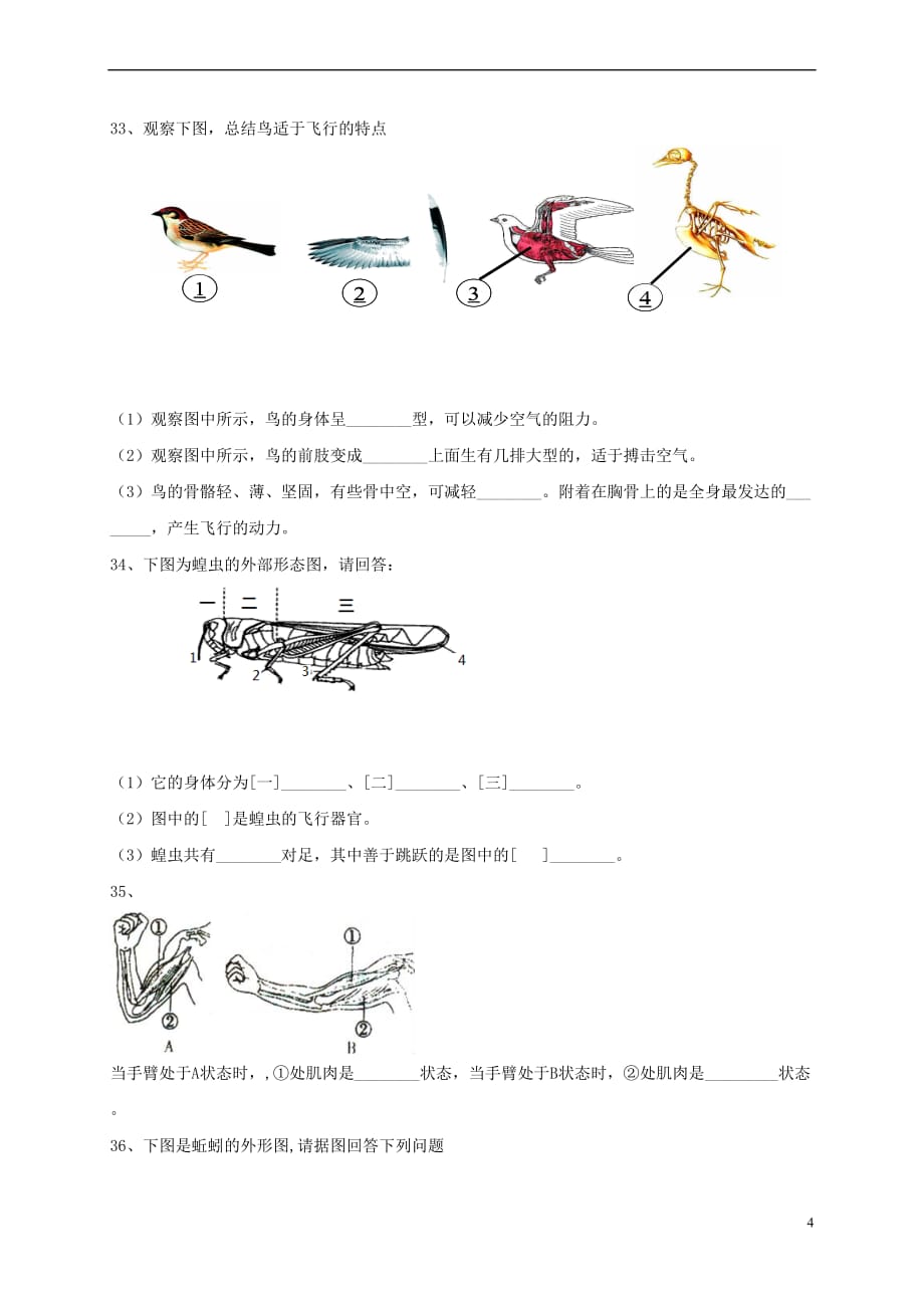 辽宁省盘锦市双台子区2016－2017学年八年级生物上学期第一次月考试题_第4页