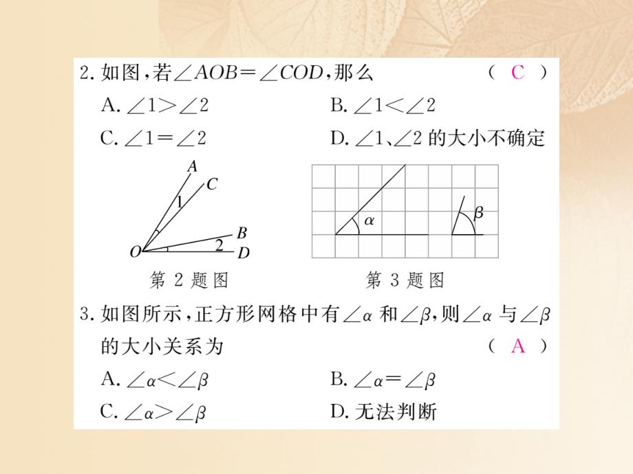 2017-2018学年七年级数学上册 4.4 角的比较 （新版）北师大版_第3页