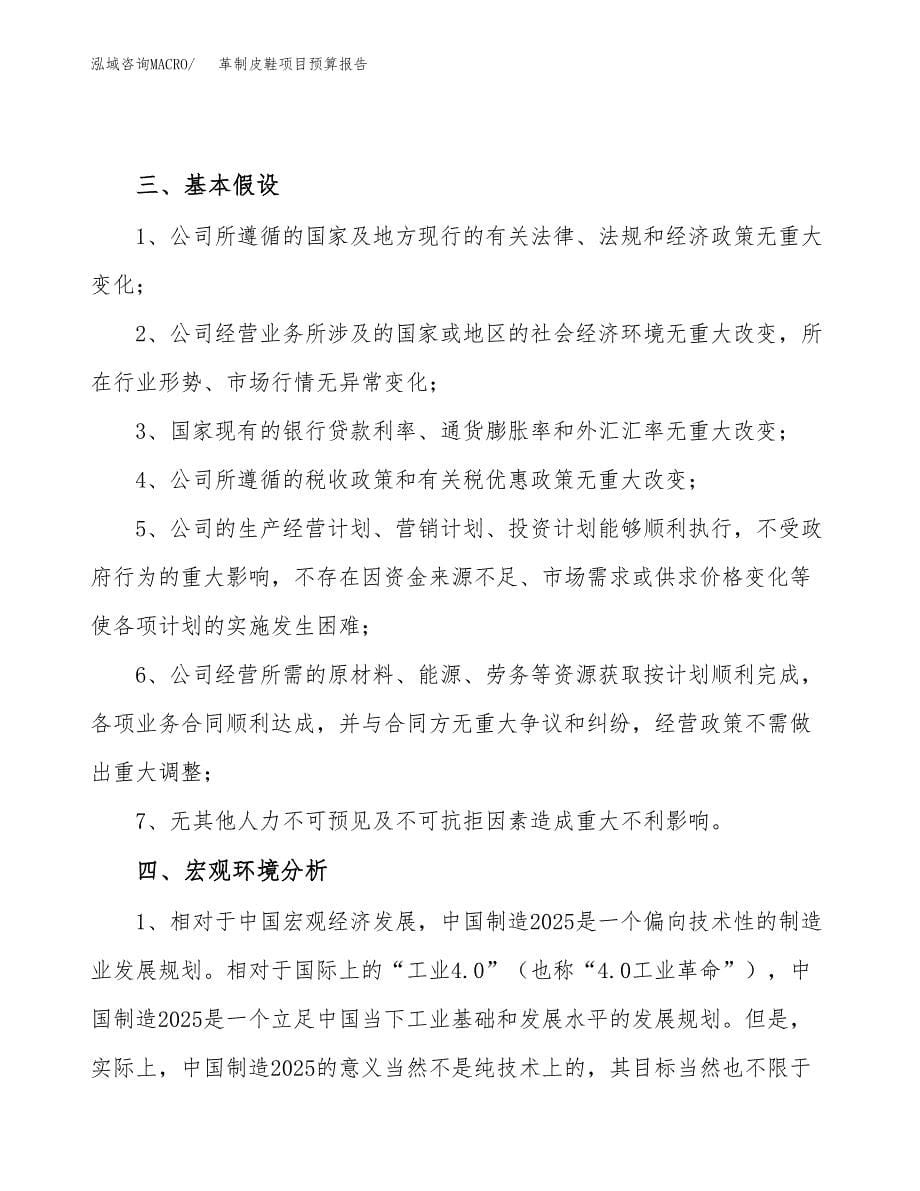 革制皮鞋项目预算报告年度.docx_第5页