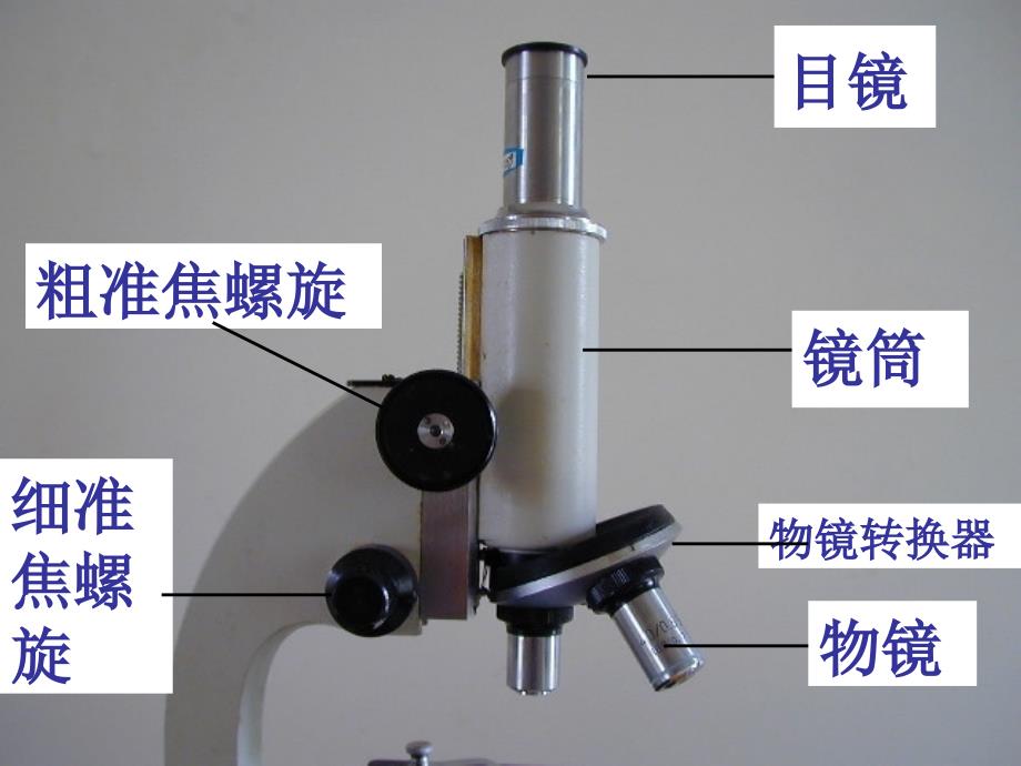 七上科学__第二章__第二节__练习使用显微镜1解析_第4页