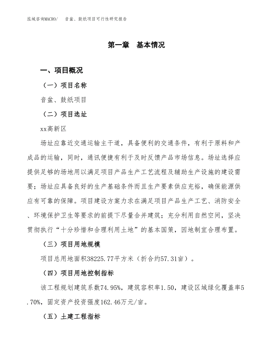 音盆、鼓纸项目可行性研究报告（总投资13000万元）（57亩）_第2页