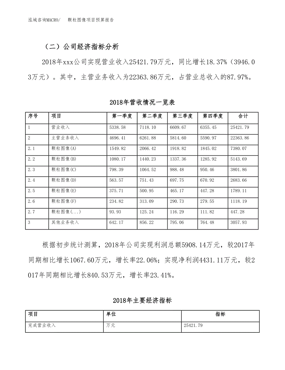 颗粒图像项目预算报告年度.docx_第3页