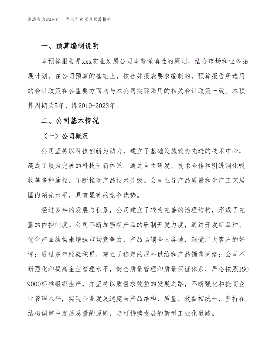 节日灯串项目预算报告年度.docx_第2页