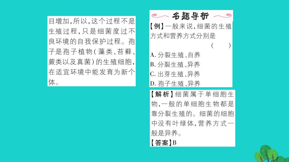 2016年秋八年级生物上册 第五单元 第四章 第二节 细菌新人教版_第3页